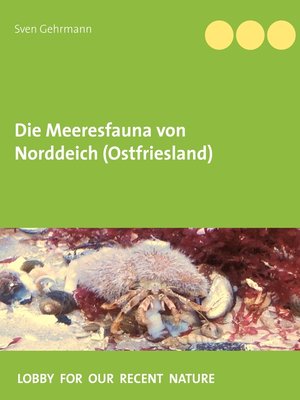 cover image of Die Meeresfauna von Norddeich (Ostfriesland)